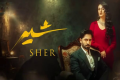 سارہ خان اور دانش تیمور کی جوڑی: 